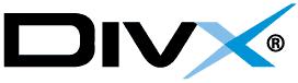 divx-logo.JPG